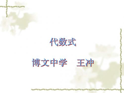 代数式 (第1课时)     王聪