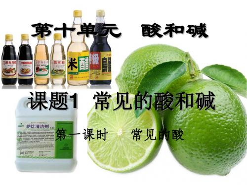 2018年广东省中考化学复习：常见的酸和碱 (共22张PPT)