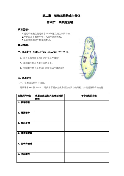 生物人教版七年级上册第四节单细胞生物导学案