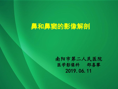 鼻和鼻窦的影像解剖