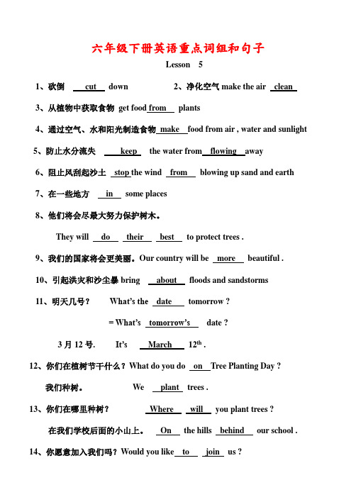 六年级英语下册重点词组、句子