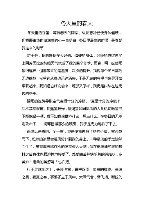 冬天里的春天