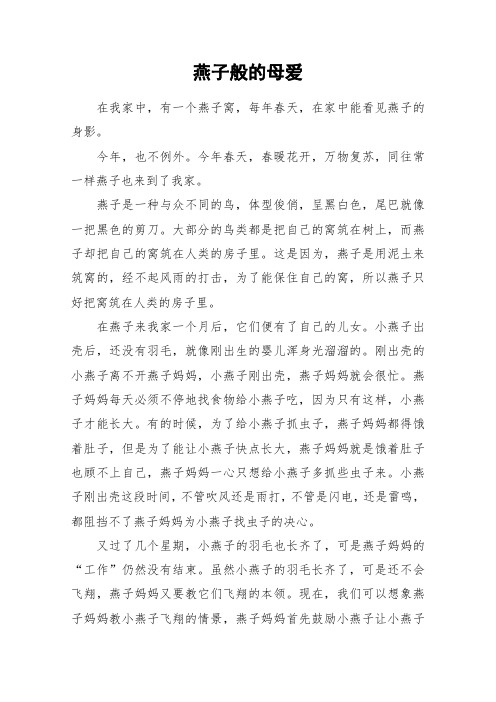 燕子般的母爱_小学作文