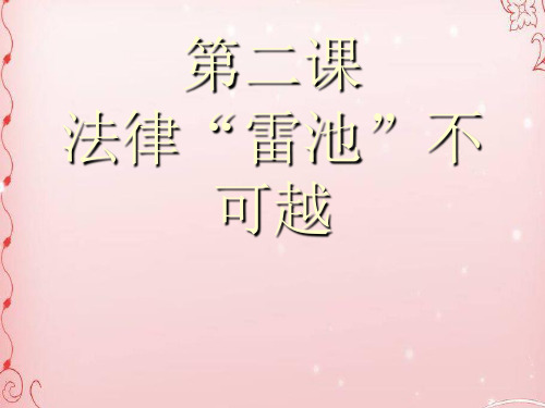 法律雷池不可越ppt优秀课件1
