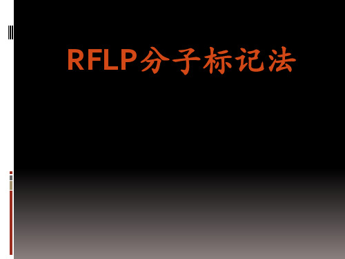 一、RFLP概念