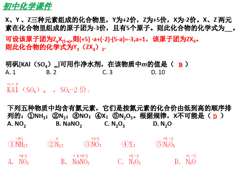 初中化学化合价与化学式专题复习