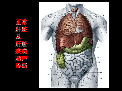肝脏超声诊断-ppt医学影像学PPT教学课件