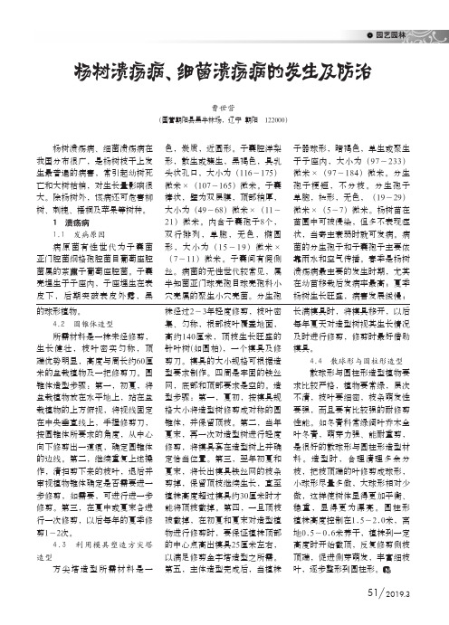 杨树溃疡病、细菌溃疡病的发生及防治