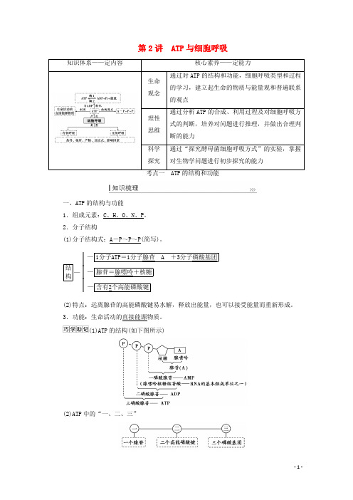 高考生物一轮复习第三单元细胞的能量供应和利用第2讲ATP与细胞呼吸教案新人教版