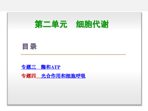 高考生物 二轮复习 专题讲练 细胞代谢 3 酶和ATP