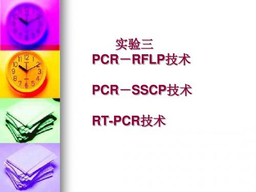 3PCR方法