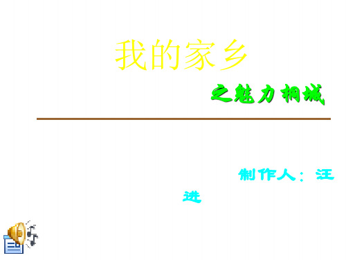 我的家乡之魅力桐城
