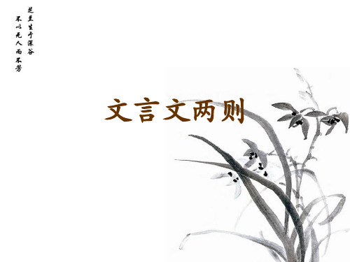 文言文两则——学弈
