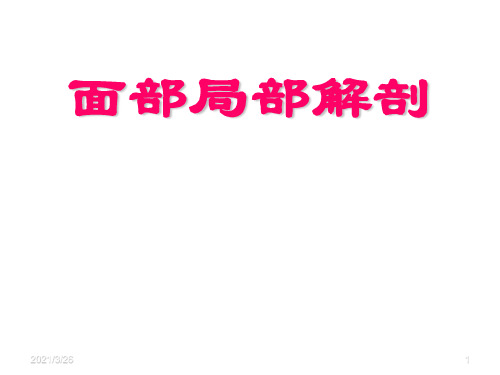 《面部局部解剖》PPT课件