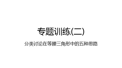 北师大版八年级数学下册期末复习专题训练(二) 分类讨论在等腰三角形中的五种思路