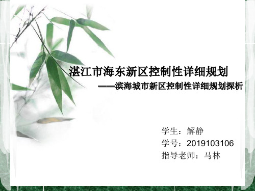 湛江市海东新区控制性详细规划
