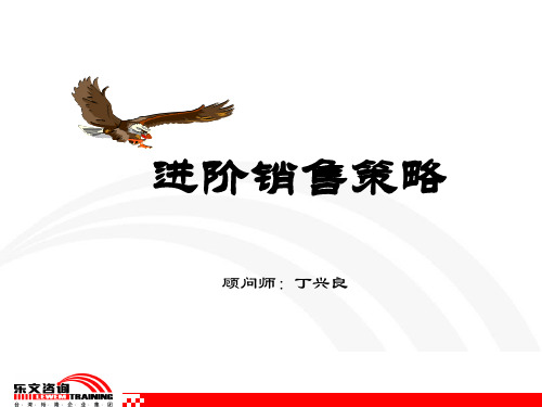 进阶销售策略分析