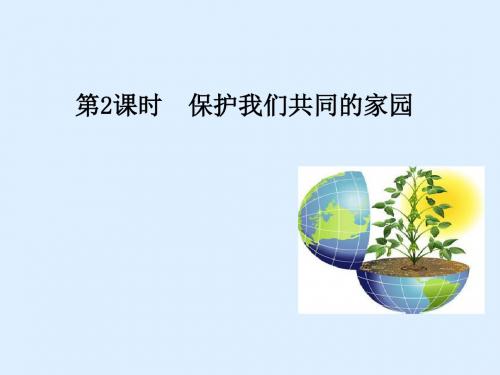 《保护我们共同的家园》PPT课件16 人教课标版
