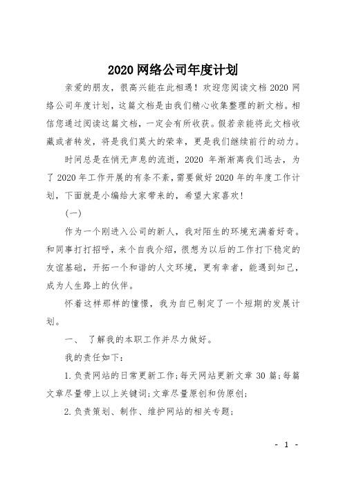 2020网络公司年度计划