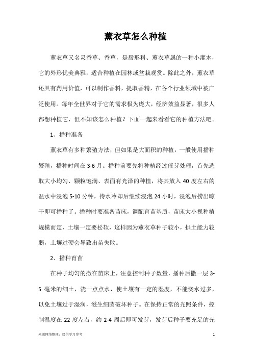 薰衣草怎么种植