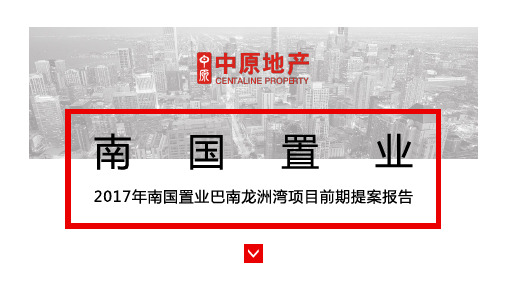 巴南龙洲湾项目前期提案