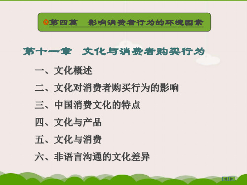 《消费者行为学》第十一章_文化与消费者购买行为