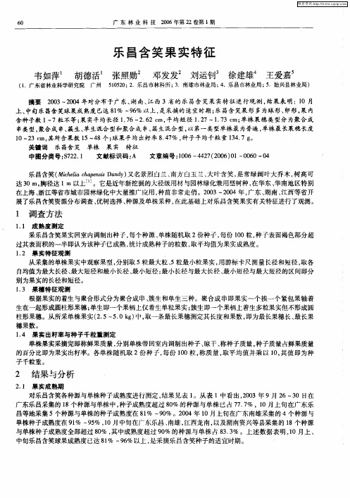 乐昌含笑果实特征