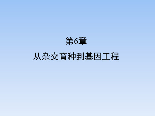 人教课标版高中生物必修2《从杂交育种到基因工程》章末复习课件