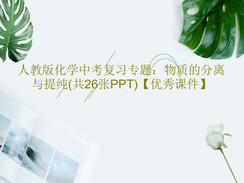 人教版化学中考复习专题：物质的分离与提纯(共26张PPT)【优秀课件】共29页