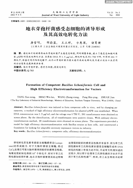 地衣芽孢杆菌感受态细胞的诱导形成及其高效电转化方法