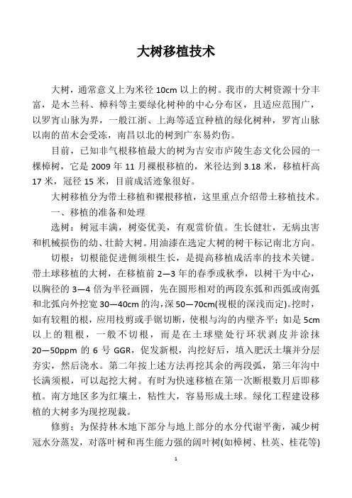 大树带土移植技术