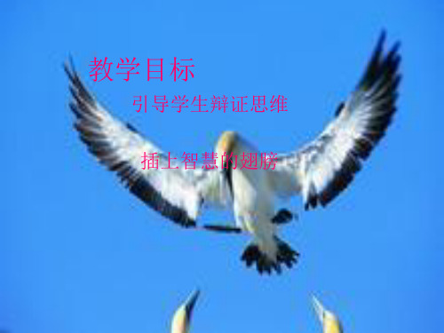 高中语文_作文,想说爱你不容易教学课件设计