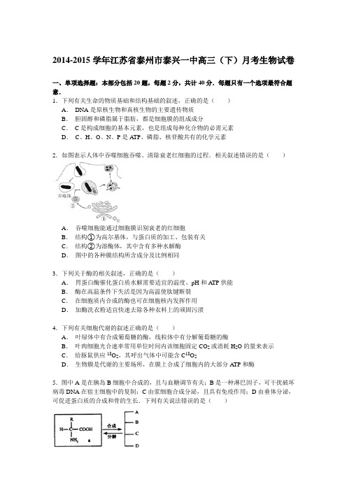 江苏省泰州市泰兴一中2015届高三下学期月考生物试卷