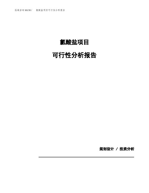 氯酸盐项目可行性分析报告(模板参考范文)