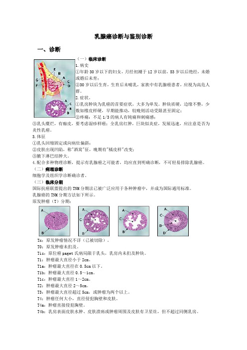 乳腺癌诊断与鉴别诊断