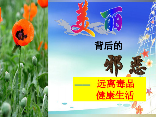 珍爱生命远离毒品主题班会ppt课件