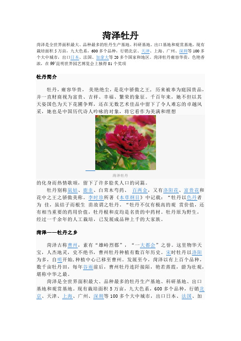 菏泽牡丹
