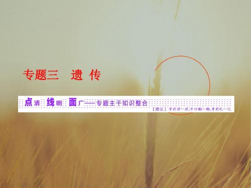2018学年高中三维专题二轮复习生物江苏专版课件：第一部分 专题三 遗传 精品