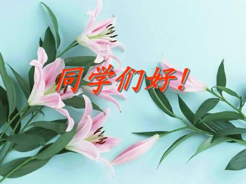 第十三讲 国际战略和外交政策 (2)