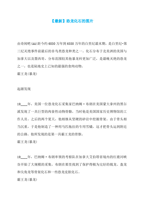 【最新】恐龙化石的图片