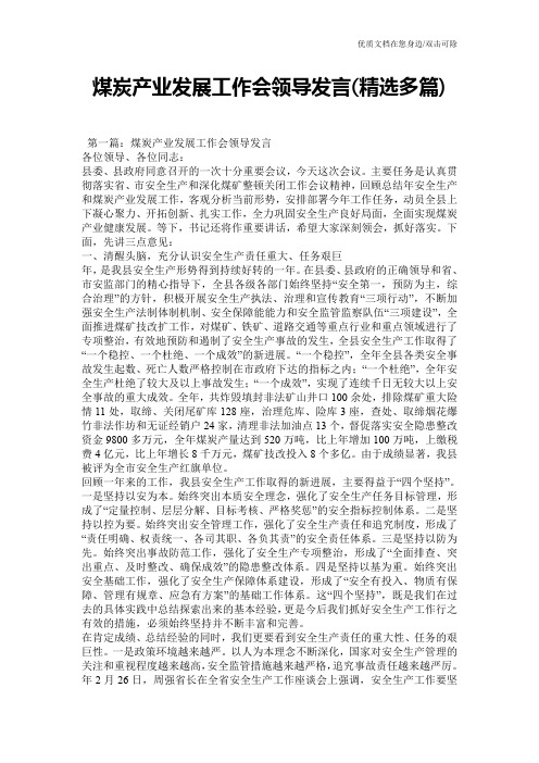 煤炭产业发展工作会领导发言(精选多篇)