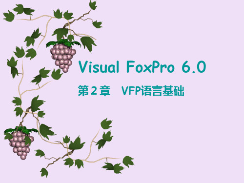 第2章VFP语言基础