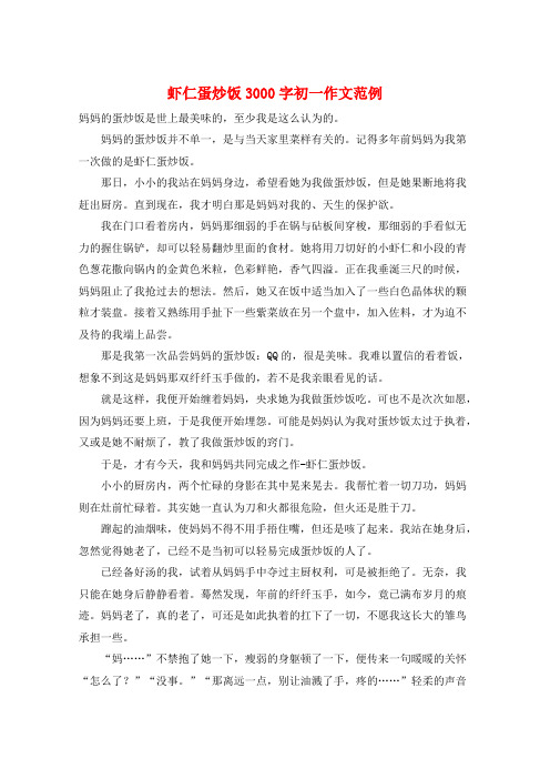 虾仁蛋炒饭3000字初一作文范例