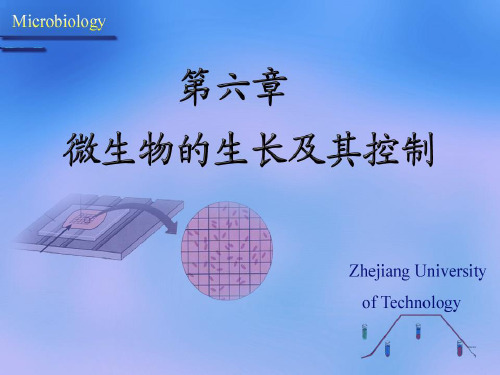 微生物学课件第六章 微生物的生长及其控制 第五节 有害微生物的控制