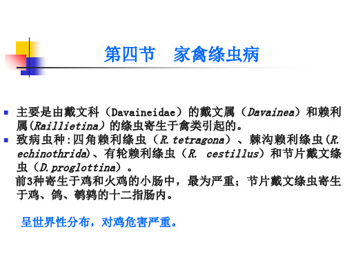 绦虫病 家禽绦虫病-PPT课件