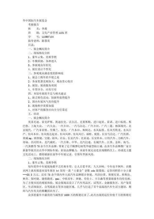 车展调查报告