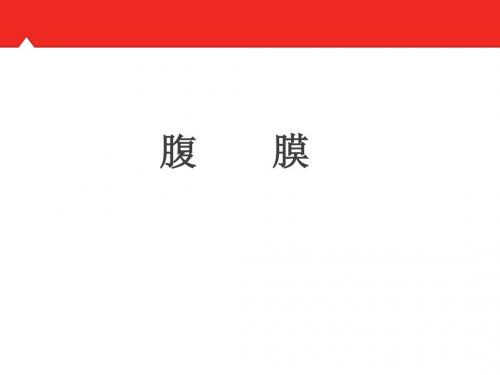 腹膜  ppt课件