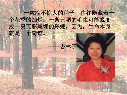 19生命生命课件