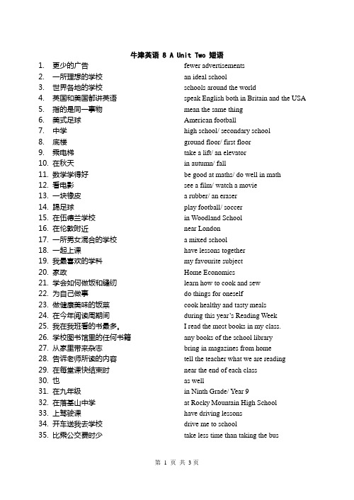 牛津英语8A Unit Two 短语及练习