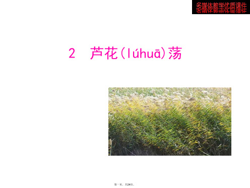 八年级语文上册 第一单元 芦花荡课件 新人教版